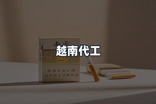 越南代工